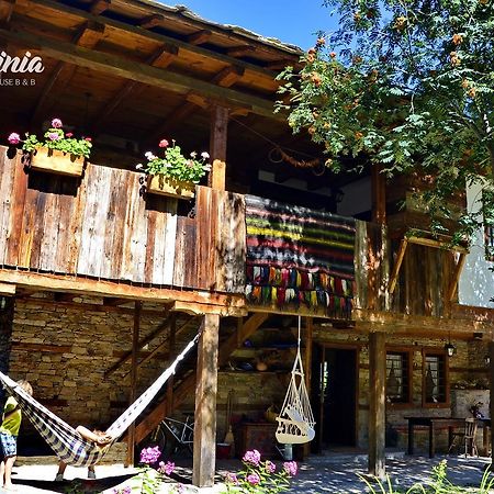 Kalinia Guesthouse B&B Kovačevica Esterno foto