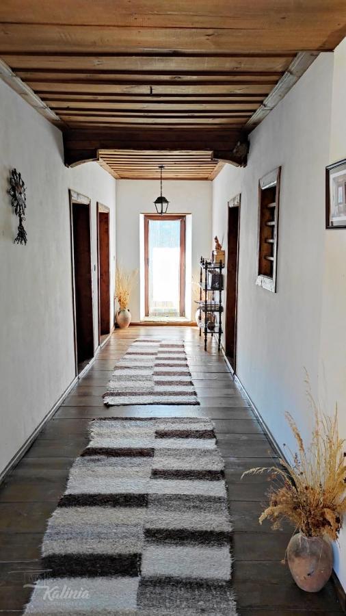 Kalinia Guesthouse B&B Kovačevica Esterno foto