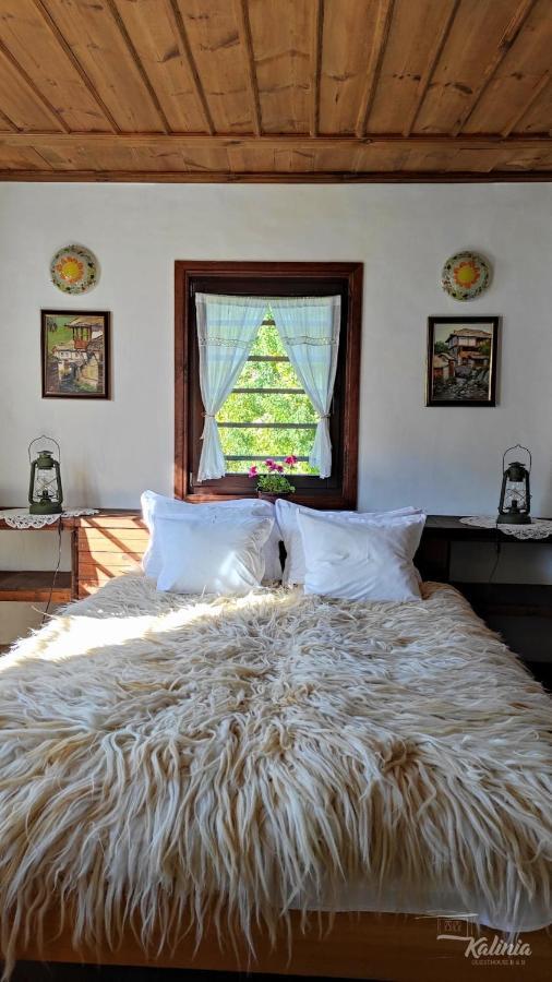 Kalinia Guesthouse B&B Kovačevica Esterno foto