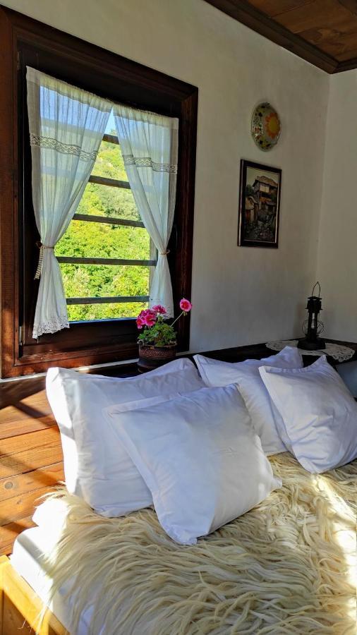 Kalinia Guesthouse B&B Kovačevica Esterno foto