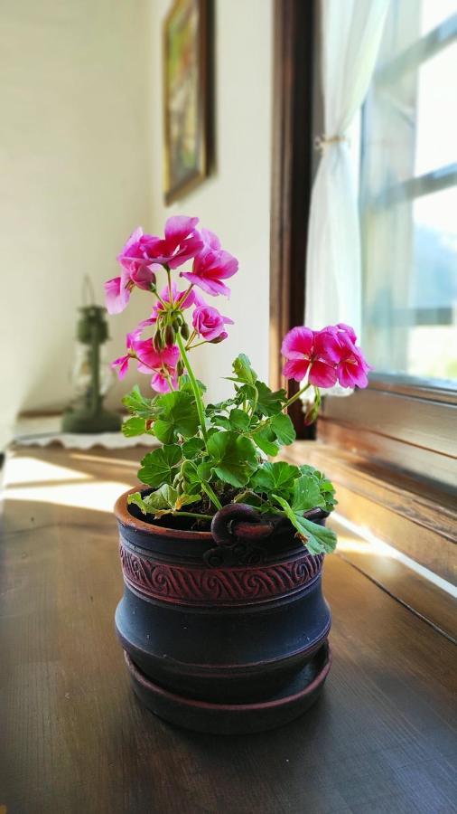 Kalinia Guesthouse B&B Kovačevica Esterno foto
