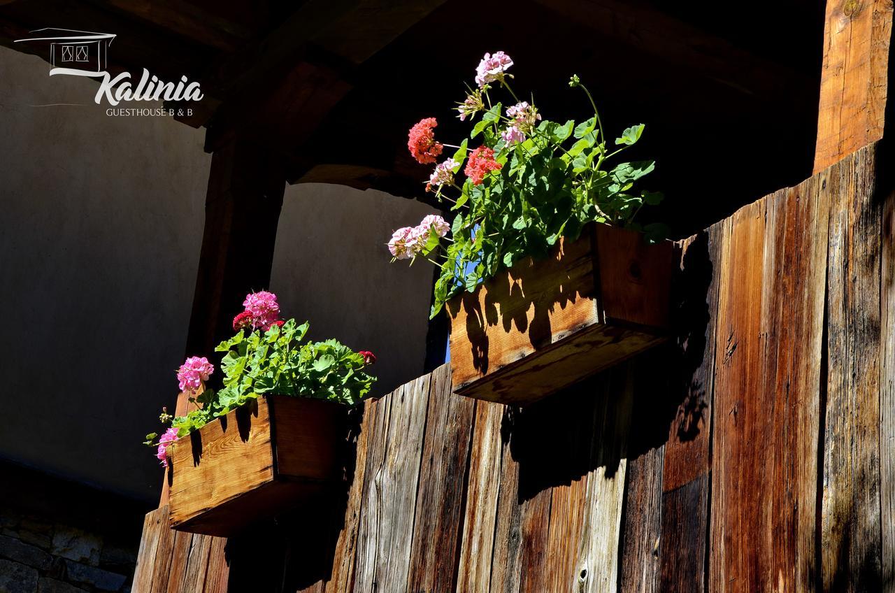 Kalinia Guesthouse B&B Kovačevica Esterno foto