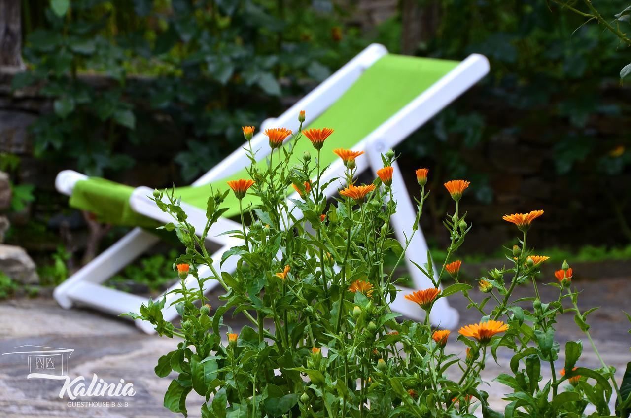 Kalinia Guesthouse B&B Kovačevica Esterno foto