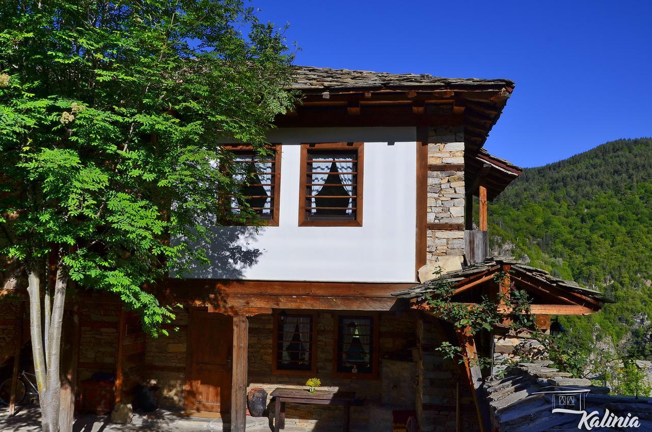 Kalinia Guesthouse B&B Kovačevica Esterno foto