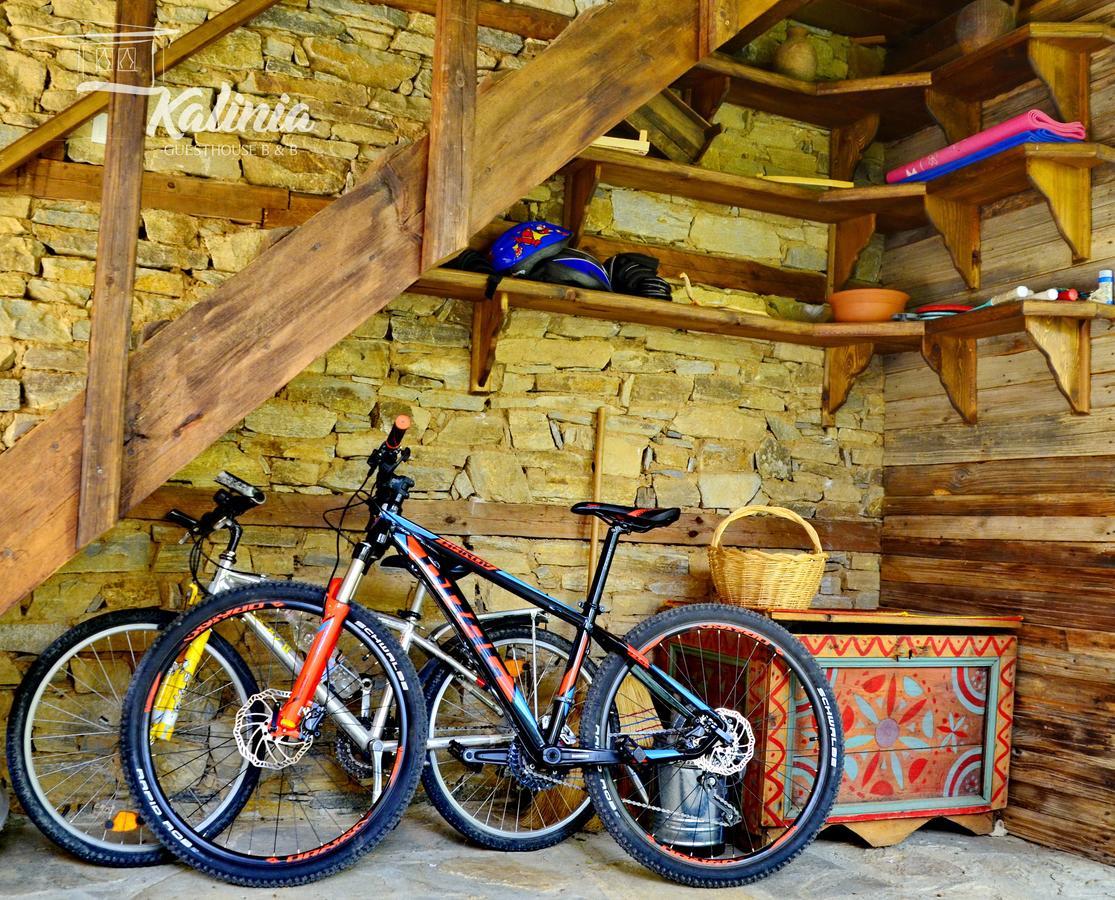 Kalinia Guesthouse B&B Kovačevica Esterno foto