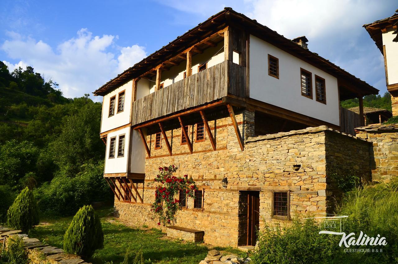 Kalinia Guesthouse B&B Kovačevica Esterno foto