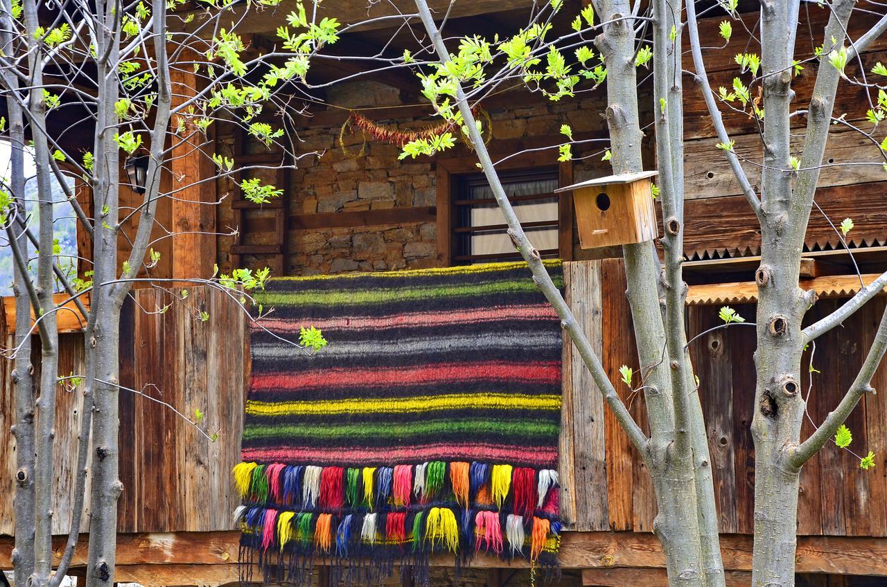 Kalinia Guesthouse B&B Kovačevica Esterno foto