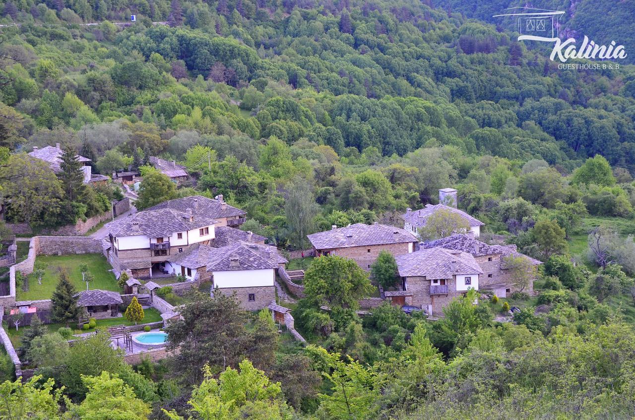 Kalinia Guesthouse B&B Kovačevica Esterno foto