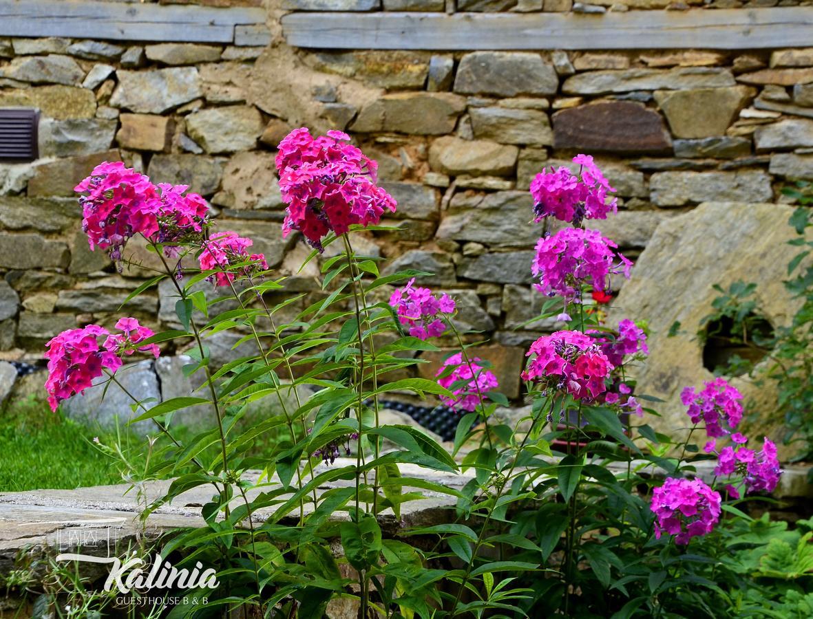 Kalinia Guesthouse B&B Kovačevica Esterno foto