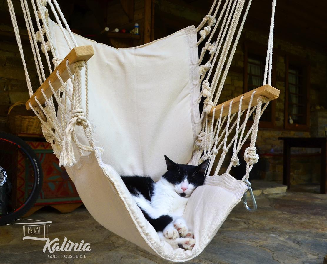 Kalinia Guesthouse B&B Kovačevica Esterno foto