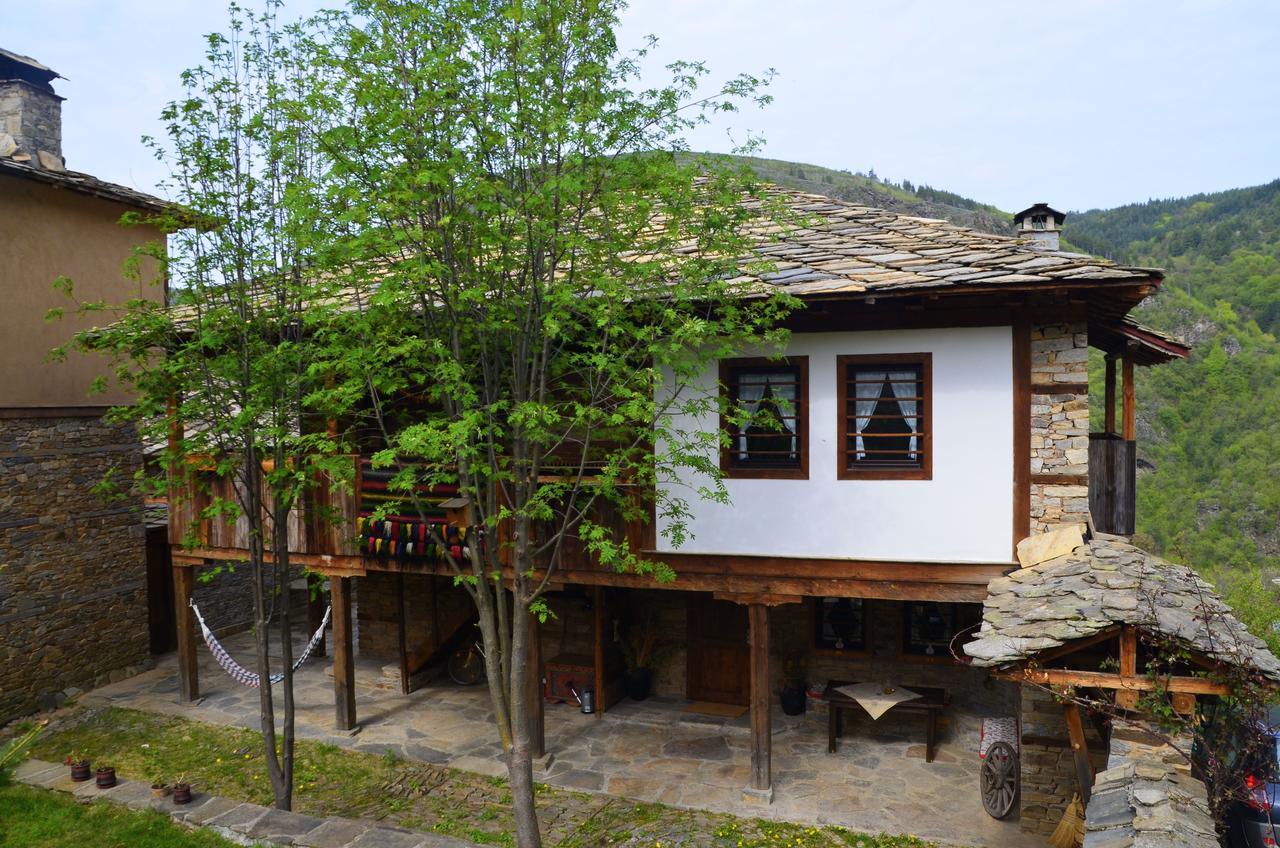 Kalinia Guesthouse B&B Kovačevica Esterno foto