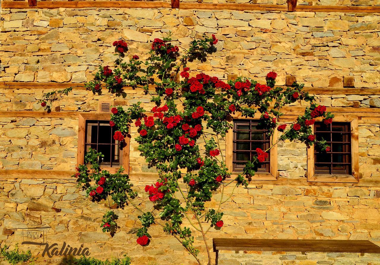 Kalinia Guesthouse B&B Kovačevica Esterno foto