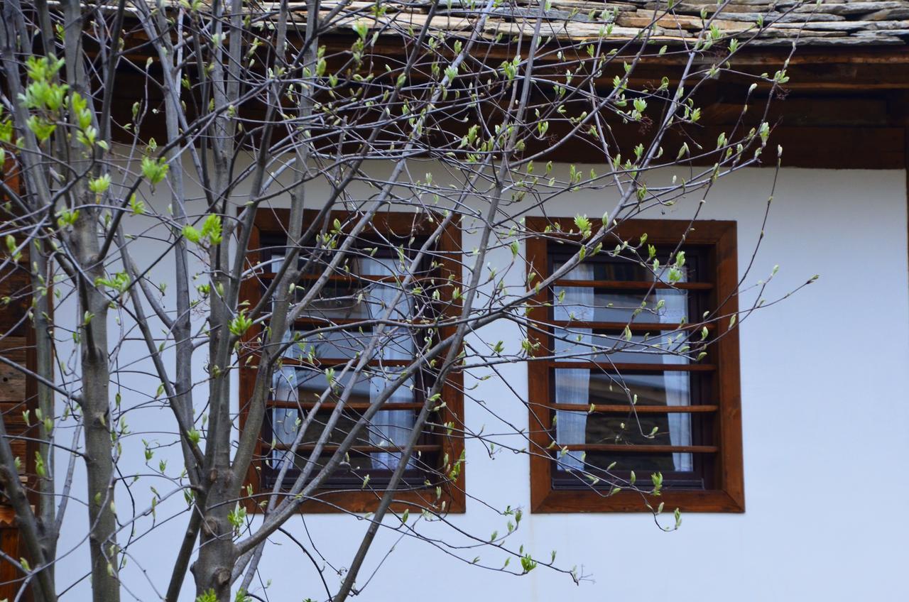 Kalinia Guesthouse B&B Kovačevica Esterno foto