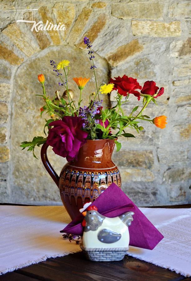 Kalinia Guesthouse B&B Kovačevica Esterno foto