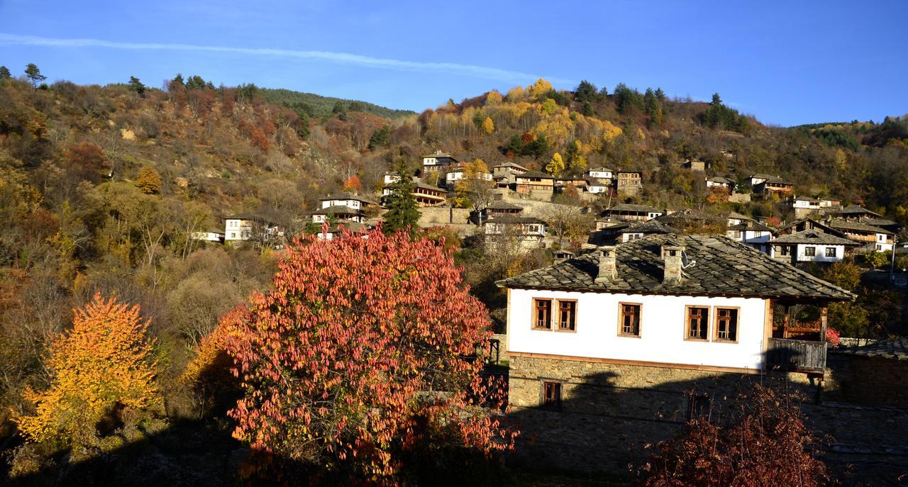 Kalinia Guesthouse B&B Kovačevica Esterno foto