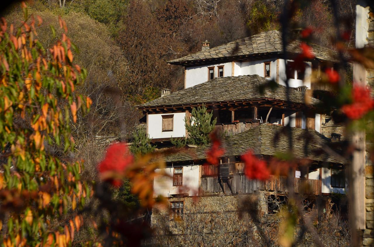 Kalinia Guesthouse B&B Kovačevica Esterno foto