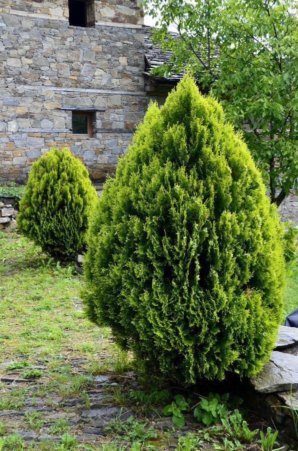 Kalinia Guesthouse B&B Kovačevica Esterno foto