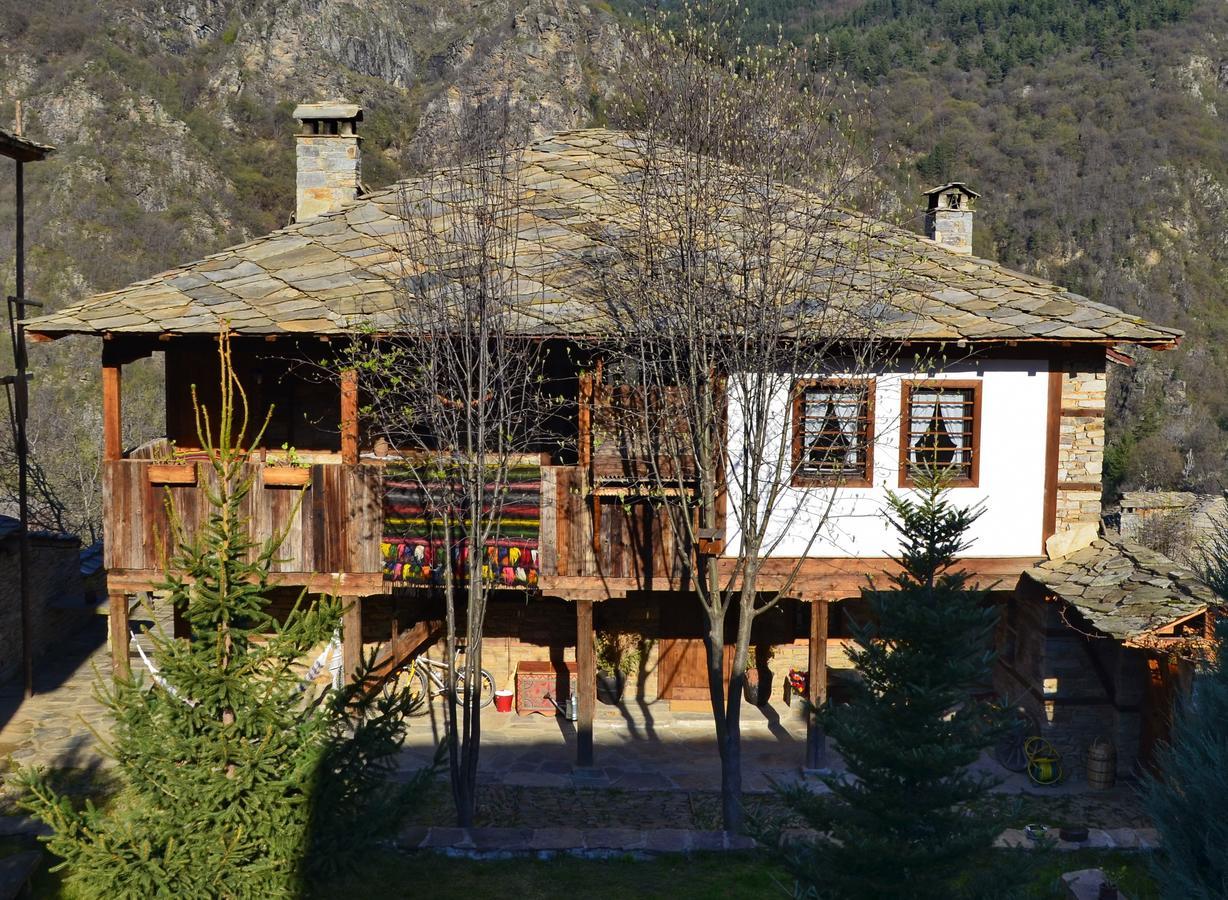 Kalinia Guesthouse B&B Kovačevica Esterno foto