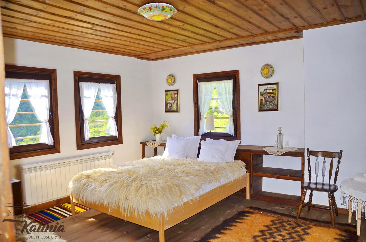 Kalinia Guesthouse B&B Kovačevica Esterno foto