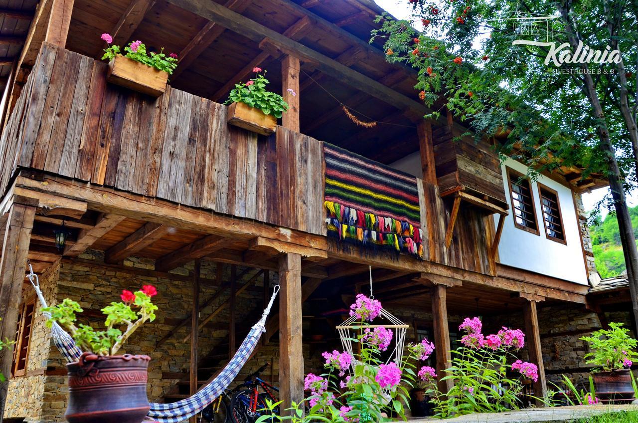 Kalinia Guesthouse B&B Kovačevica Esterno foto