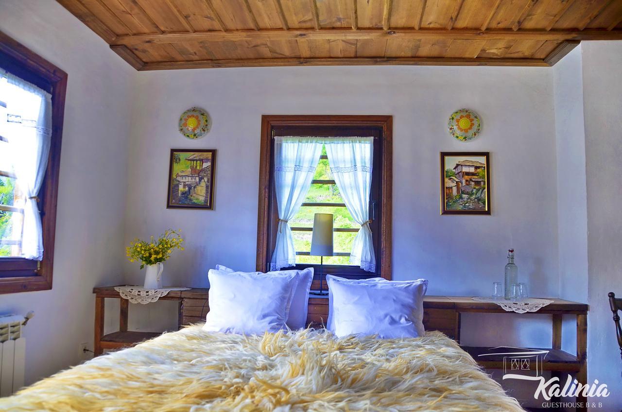 Kalinia Guesthouse B&B Kovačevica Esterno foto