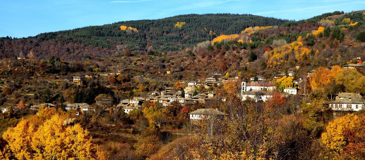 Kalinia Guesthouse B&B Kovačevica Esterno foto